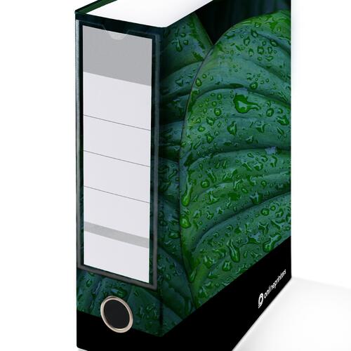 Raccoglitore ad anelli stampato con meccanismo ad anelli ed etichetta sul dorso.