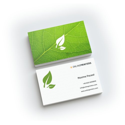 Biglietti da visita in carta ecologica/naturale, 9,0 x 5,0 cm, stampa fronte/retro 1