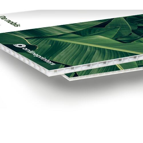 Pannello alveolare bianco, leggero e robusto.