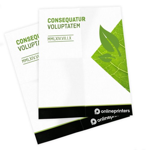 Manifesti e Locandine in carta ecologica/naturale, A2, stampa fronte/retro 4