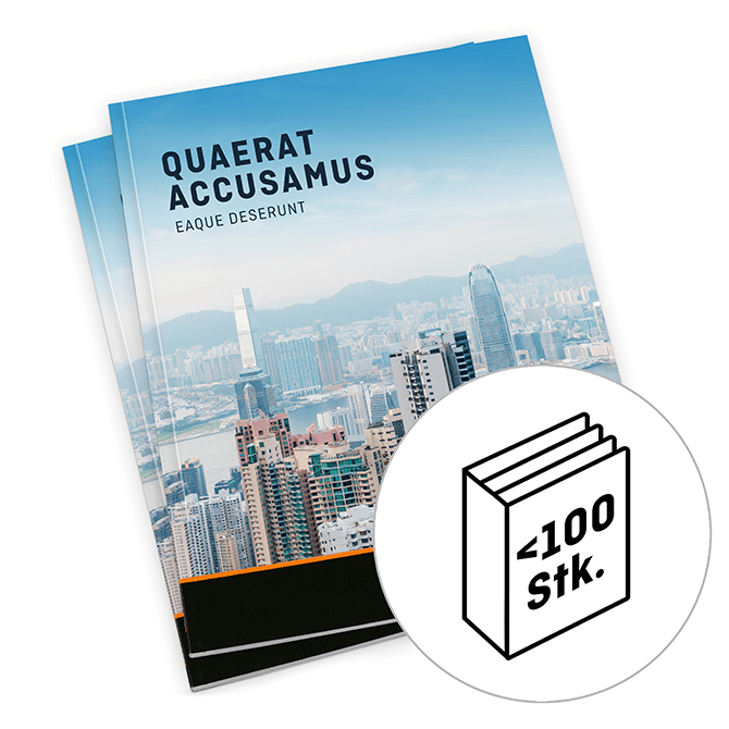 Stampa cataloghi online su Onlineprinters