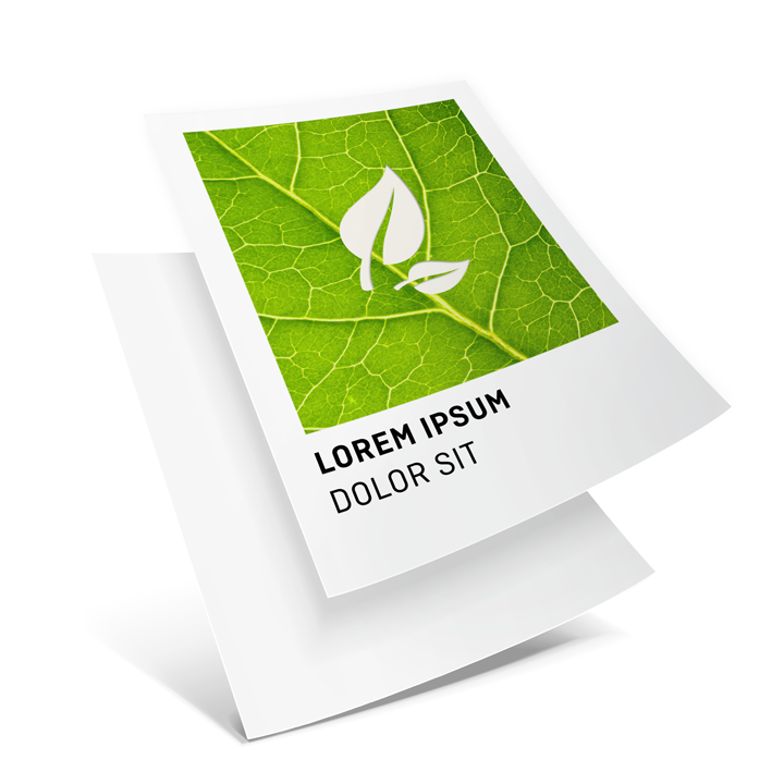 Immagine Altamente ecologici: i nostri top seller in carta riciclata